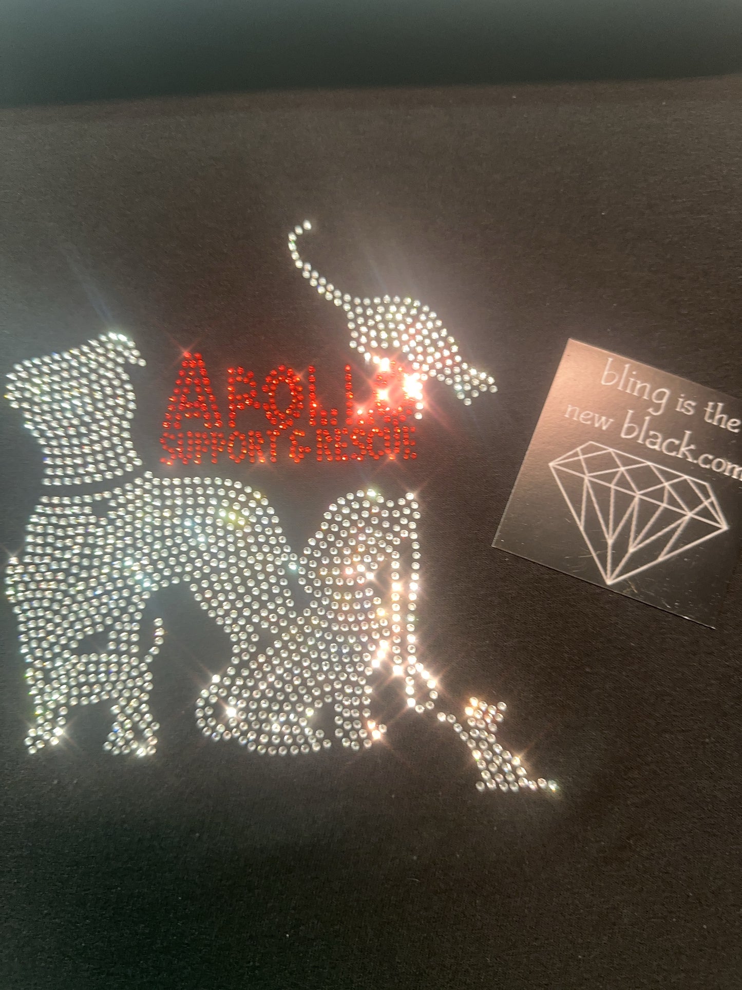 Apollo Support & Rescue Bling Unisex  Long Sleeve Crew